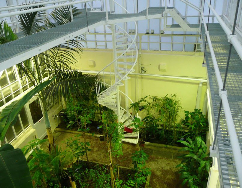 TU Delft Hortus Botanicus, Netherlands